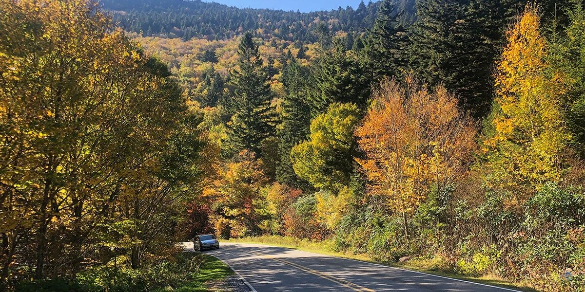 10-breathtaking-road-trips-in-cary-north-carolina