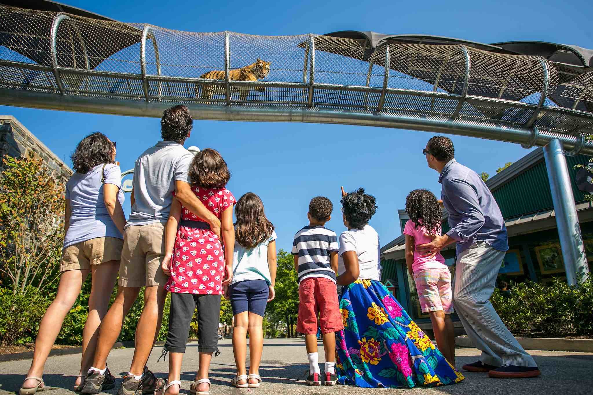 10-Family-Friendly-Activities-In-Philadelphia-Pennsylvania 10-family-friendly-activities-in-philadelphia-pennsylvania