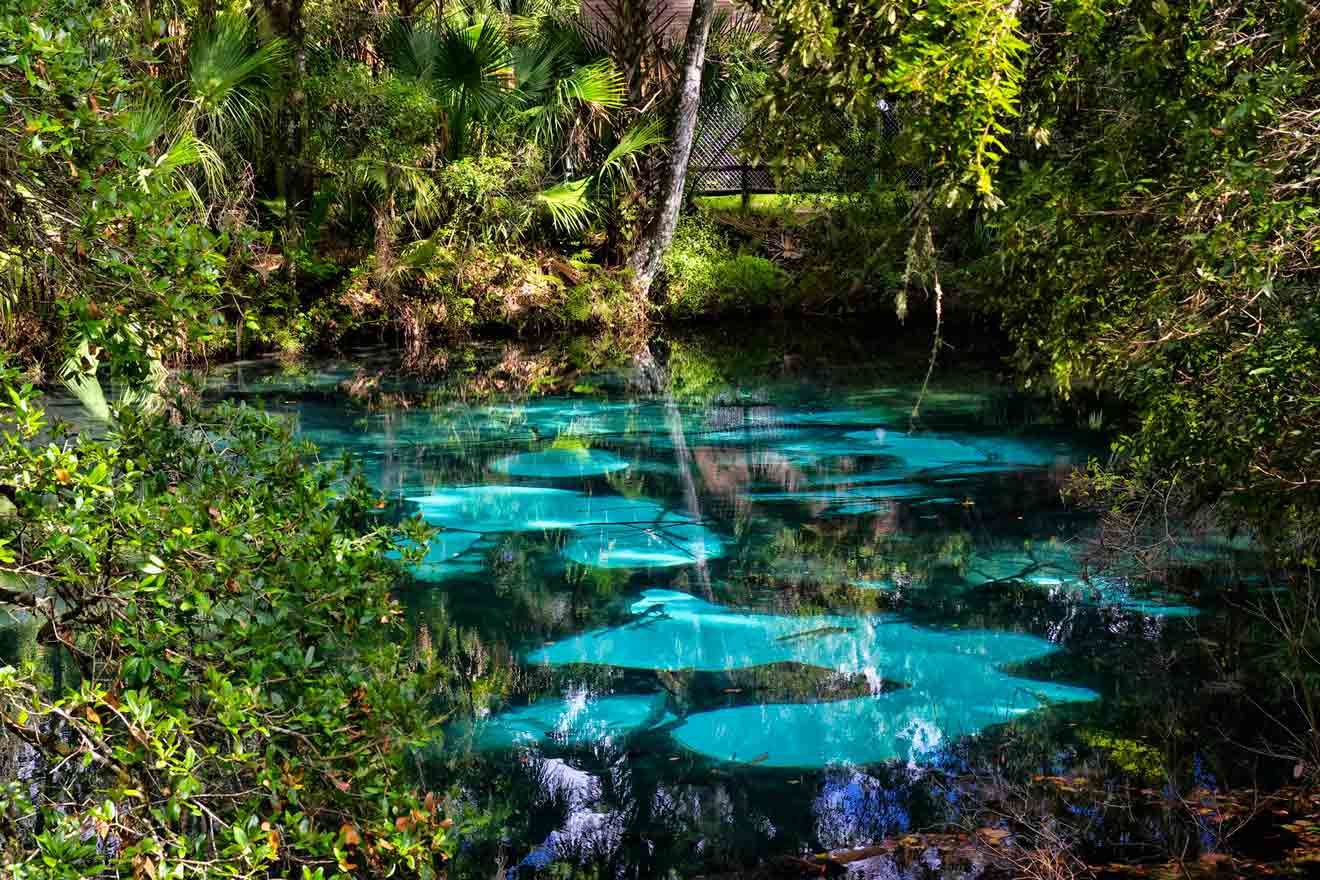 10-Relaxing-Retreats-To-Enjoy-In-Ocala-Florida 10-relaxing-retreats-to-enjoy-in-ocala-florida