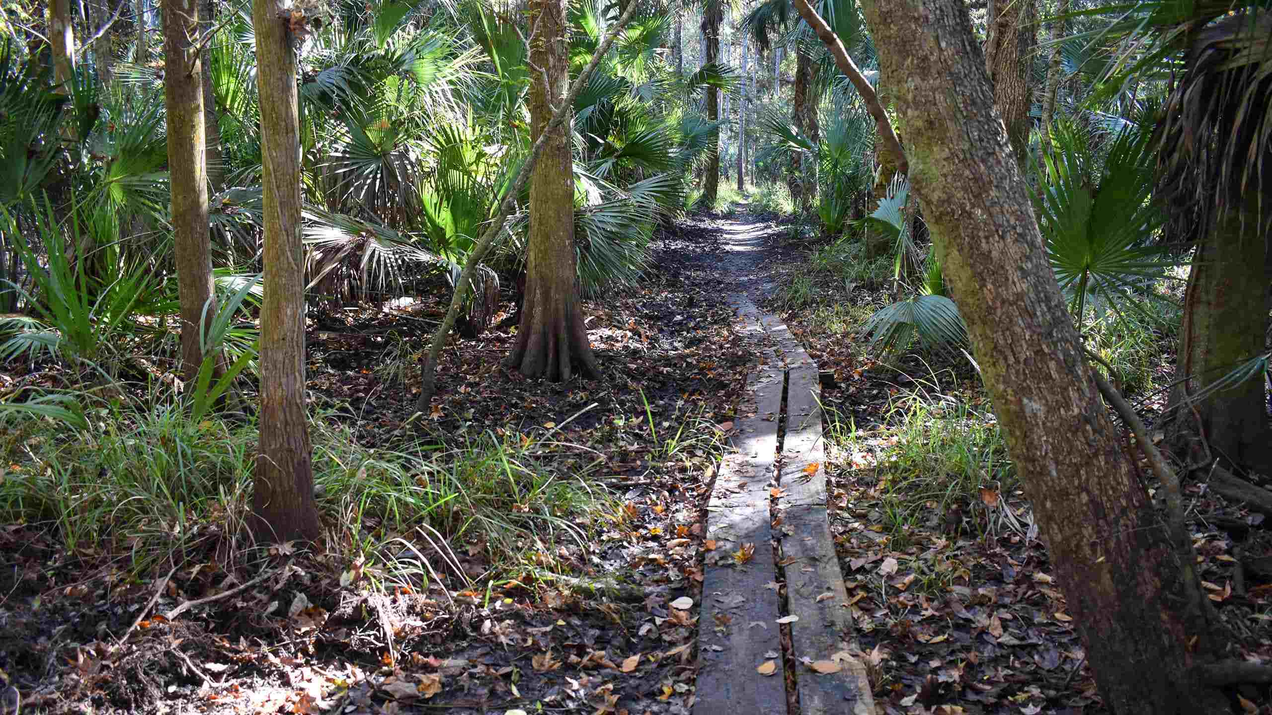 10-scenic-hikes-to-take-in-sanford-florida
