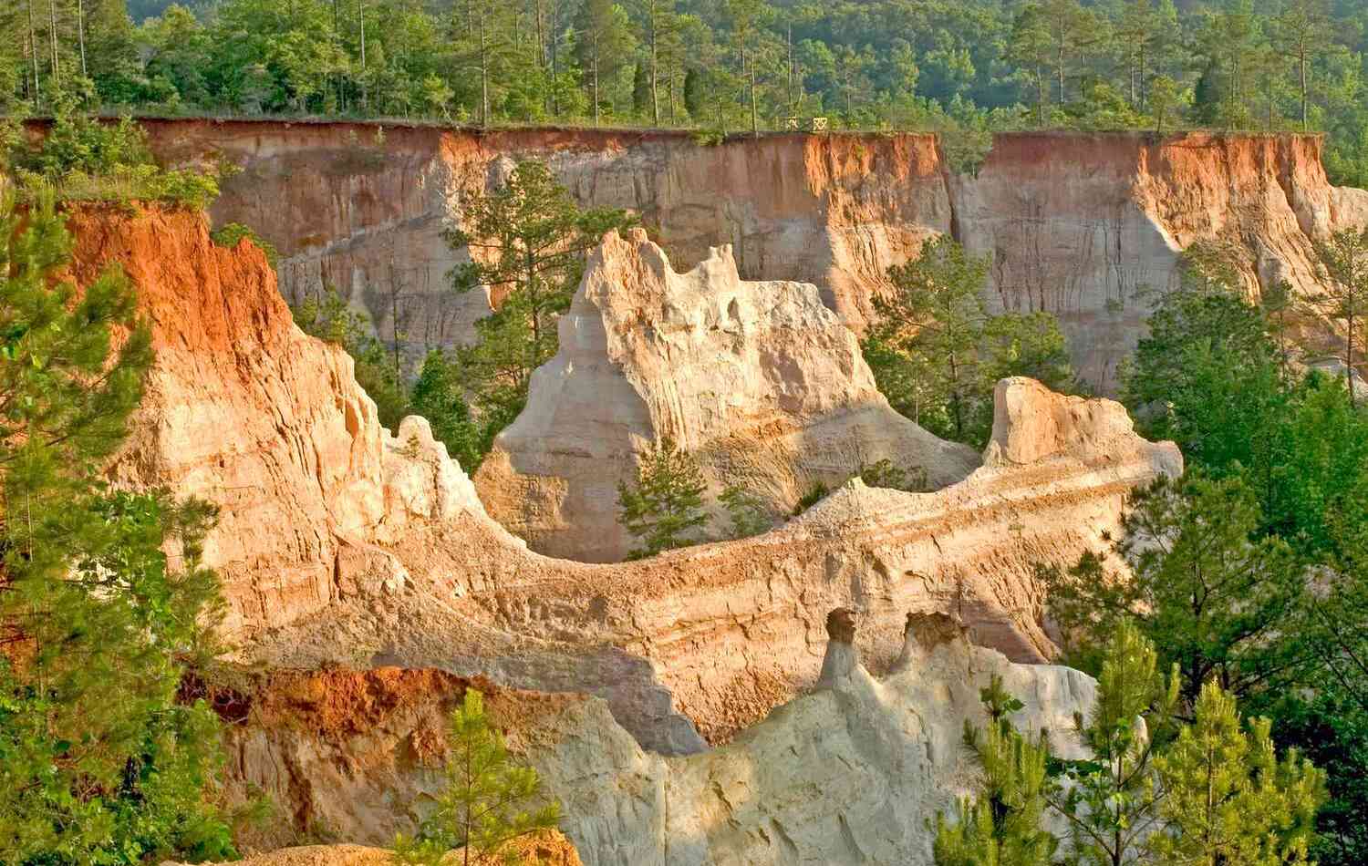 10-Stunning-Natural-Wonders-In-Brookhaven-Georgia 10-stunning-natural-wonders-in-brookhaven-georgia