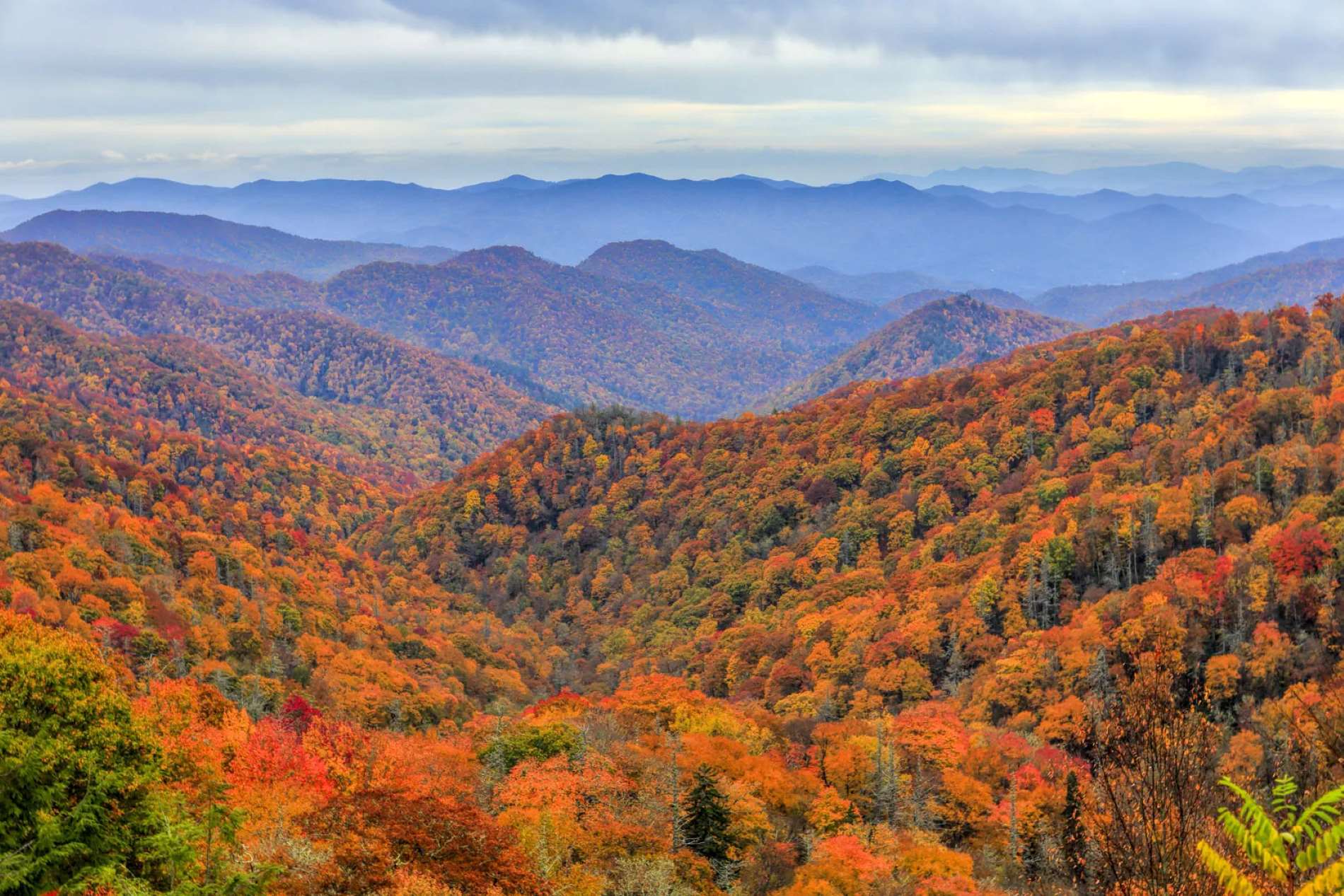 10-stunning-natural-wonders-in-rocky-mount-north-carolina