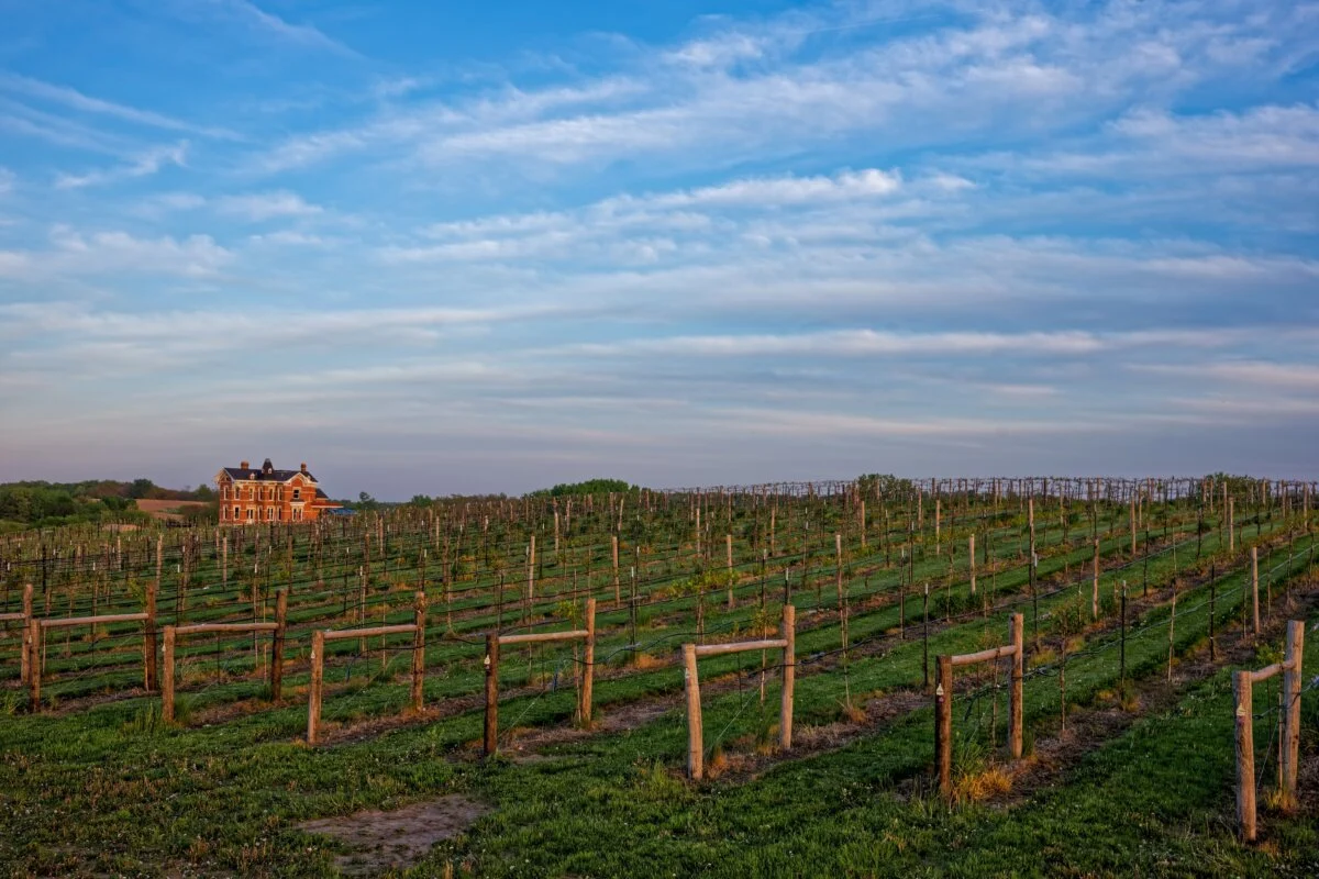 10-top-wine-tasting-destinations-in-ankeny-iowa