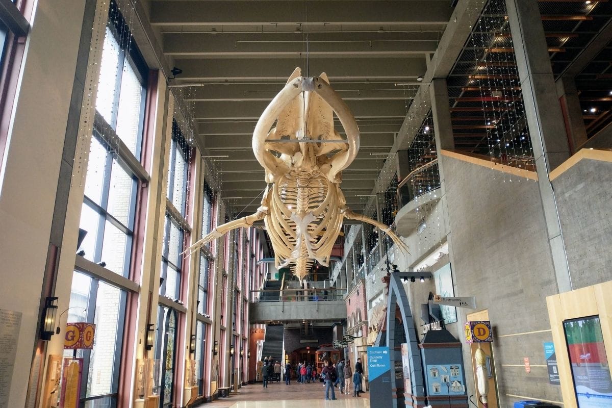 10-unique-museums-to-explore-in-kentwood-michigan