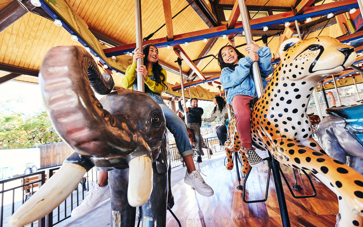 11-Family-Friendly-Activities-In-Sandy-Utah 11-family-friendly-activities-in-sandy-utah
