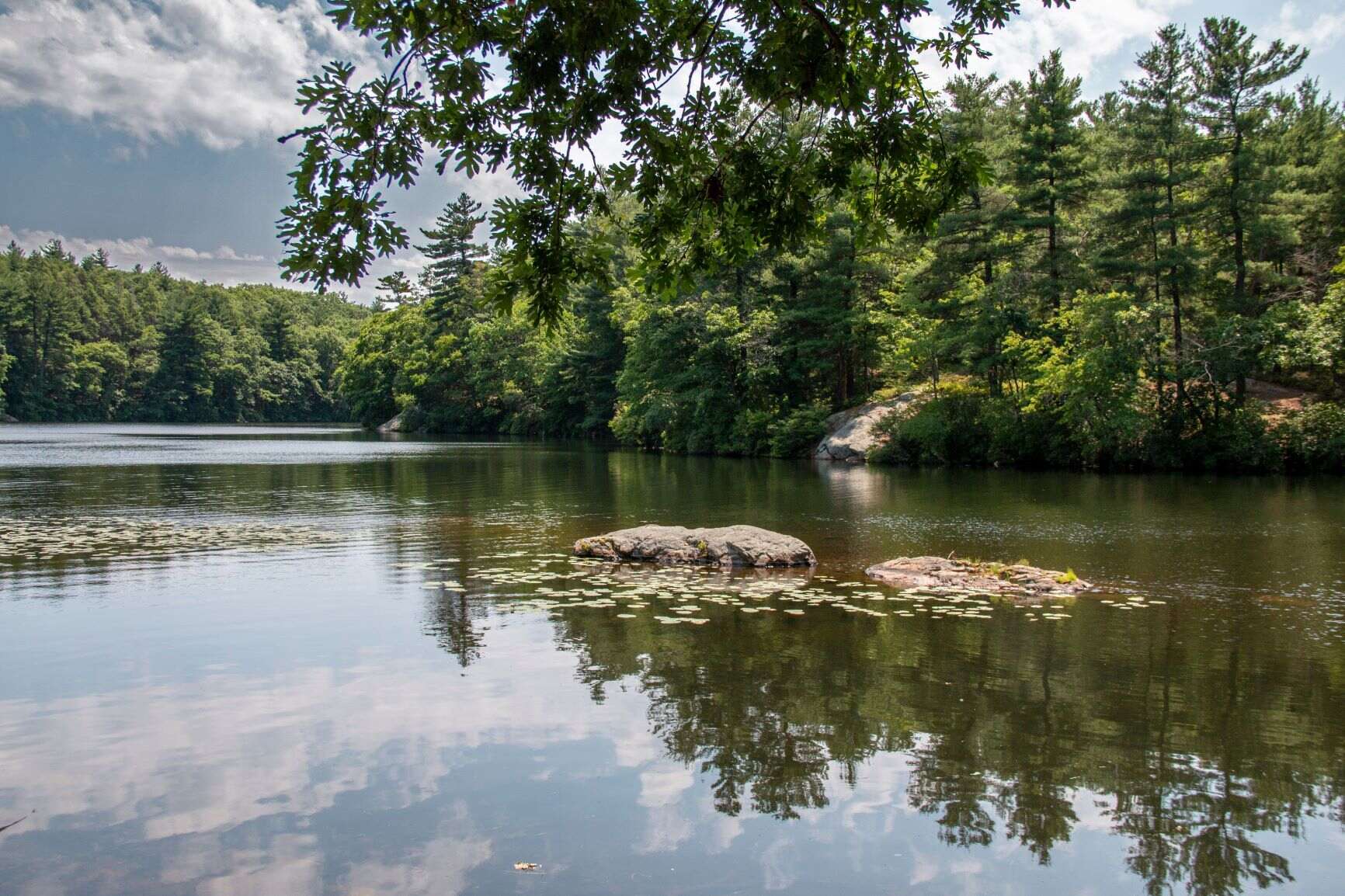 11-scenic-hikes-to-take-in-boston-massachusetts