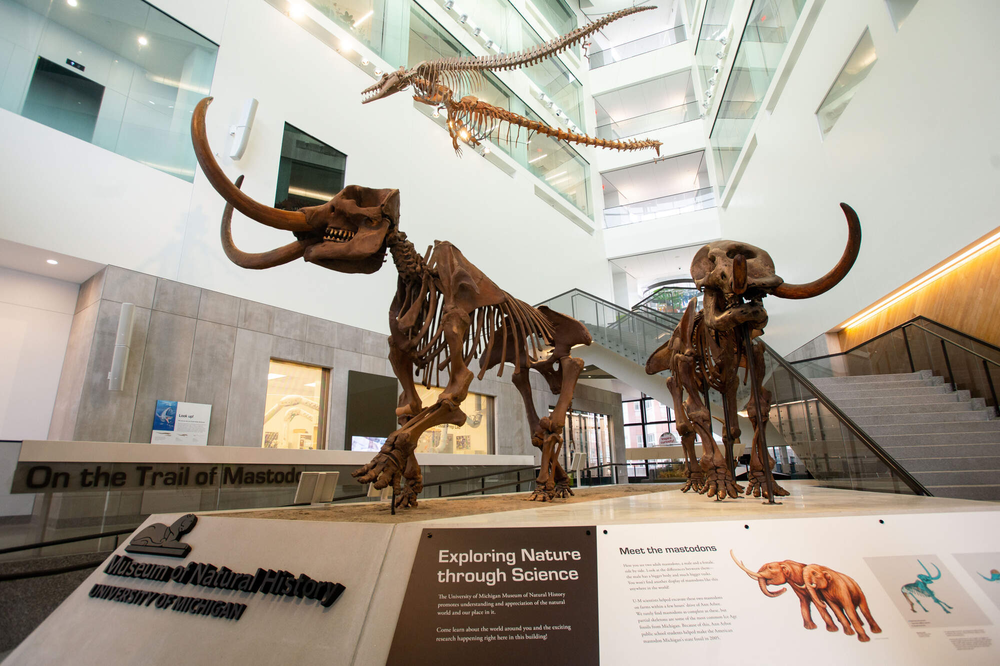 11-Unique-Museums-To-Explore-In-Ann-Arbor-Michigan 11-unique-museums-to-explore-in-ann-arbor-michigan