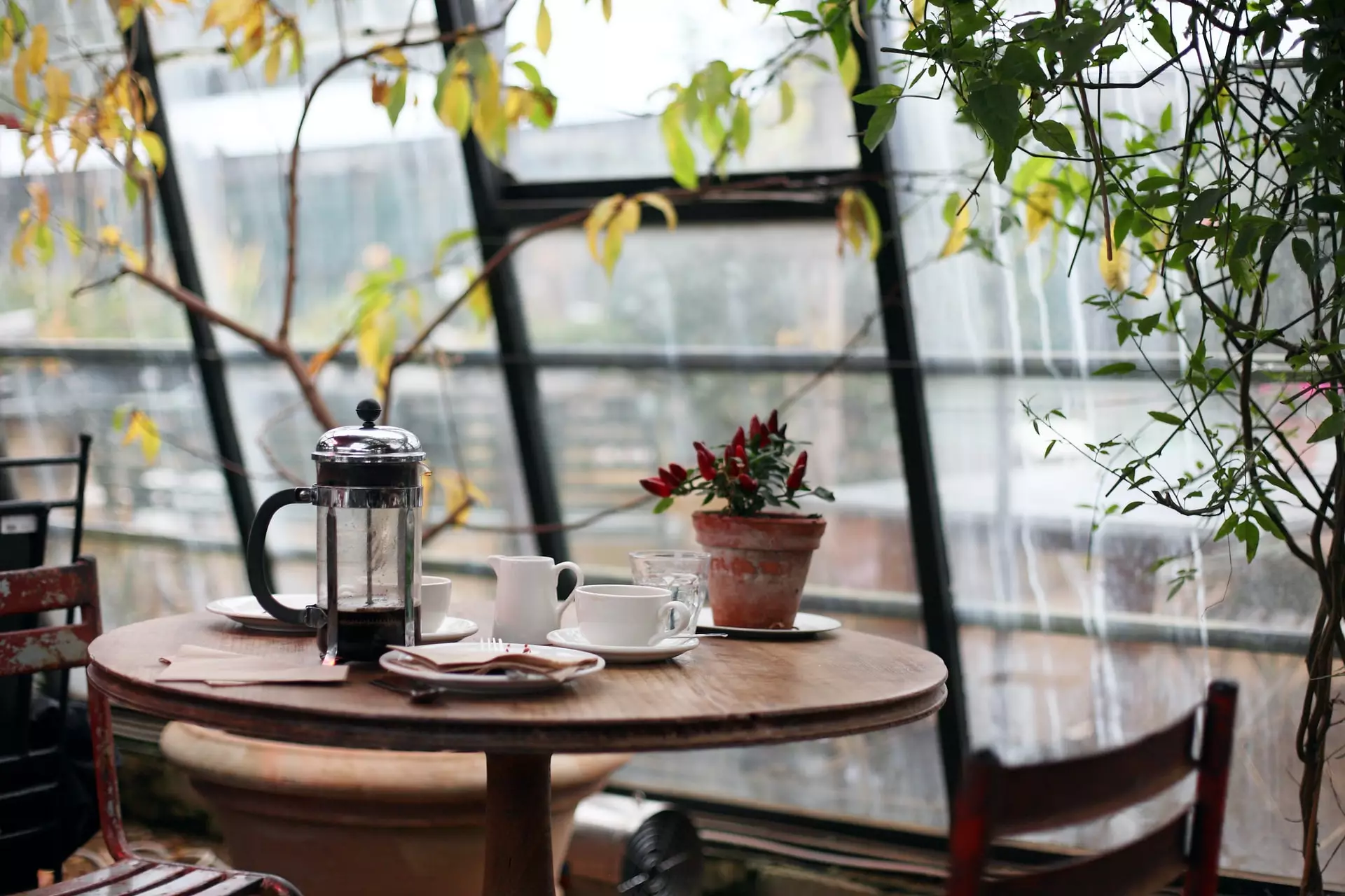 12-Cozy-Coffee-Shops-To-Discover-In-Pflugerville-Texas 12-cozy-coffee-shops-to-discover-in-pflugerville-texas