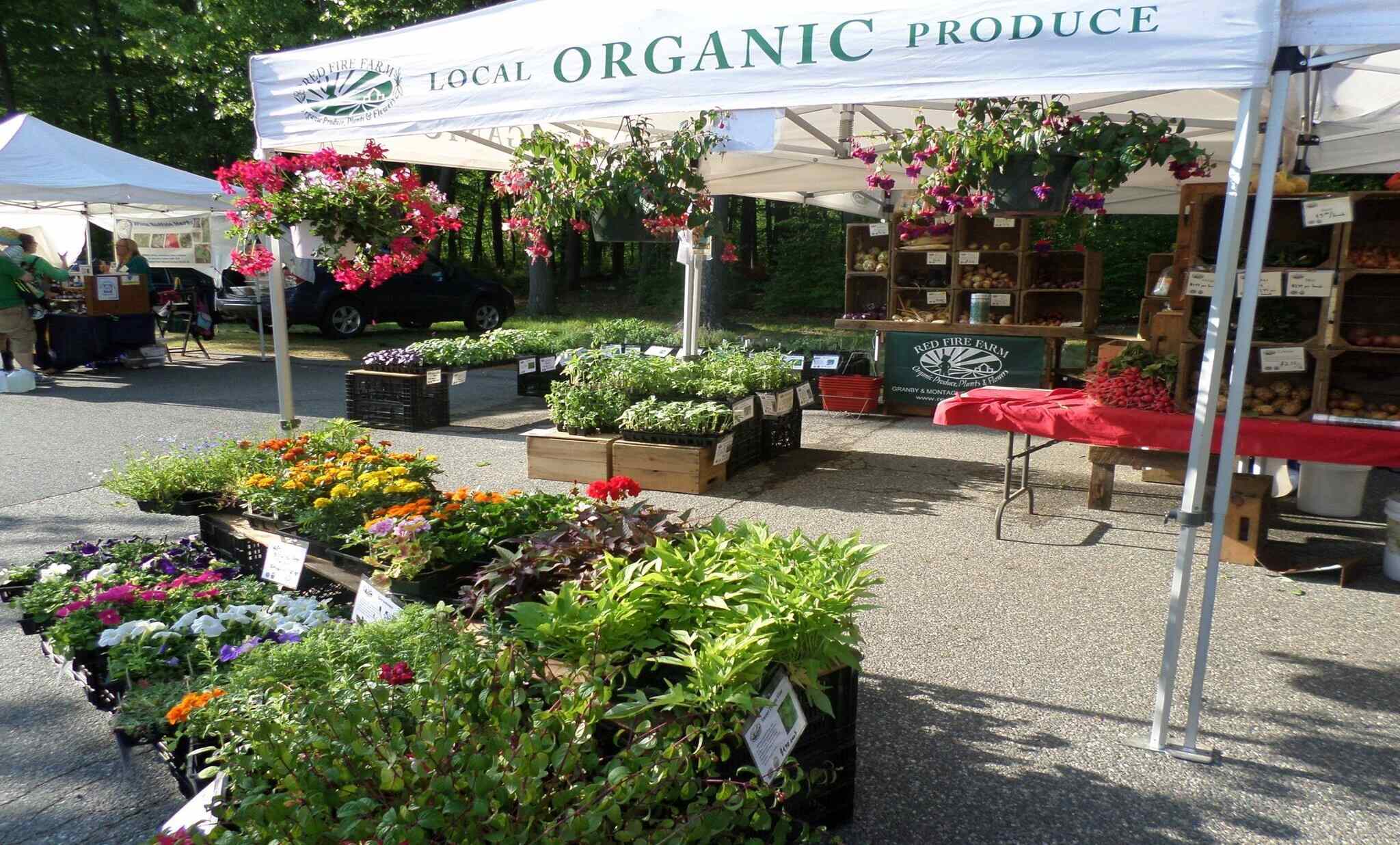 12-outdoor-markets-to-shop-in-springfield-massachusetts