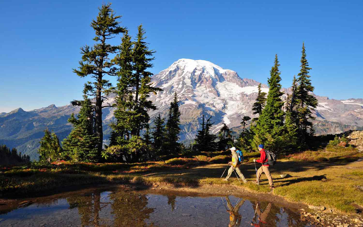 12-Scenic-Hikes-To-Take-In-Lake-Forest-California 12-scenic-hikes-to-take-in-lake-forest-california