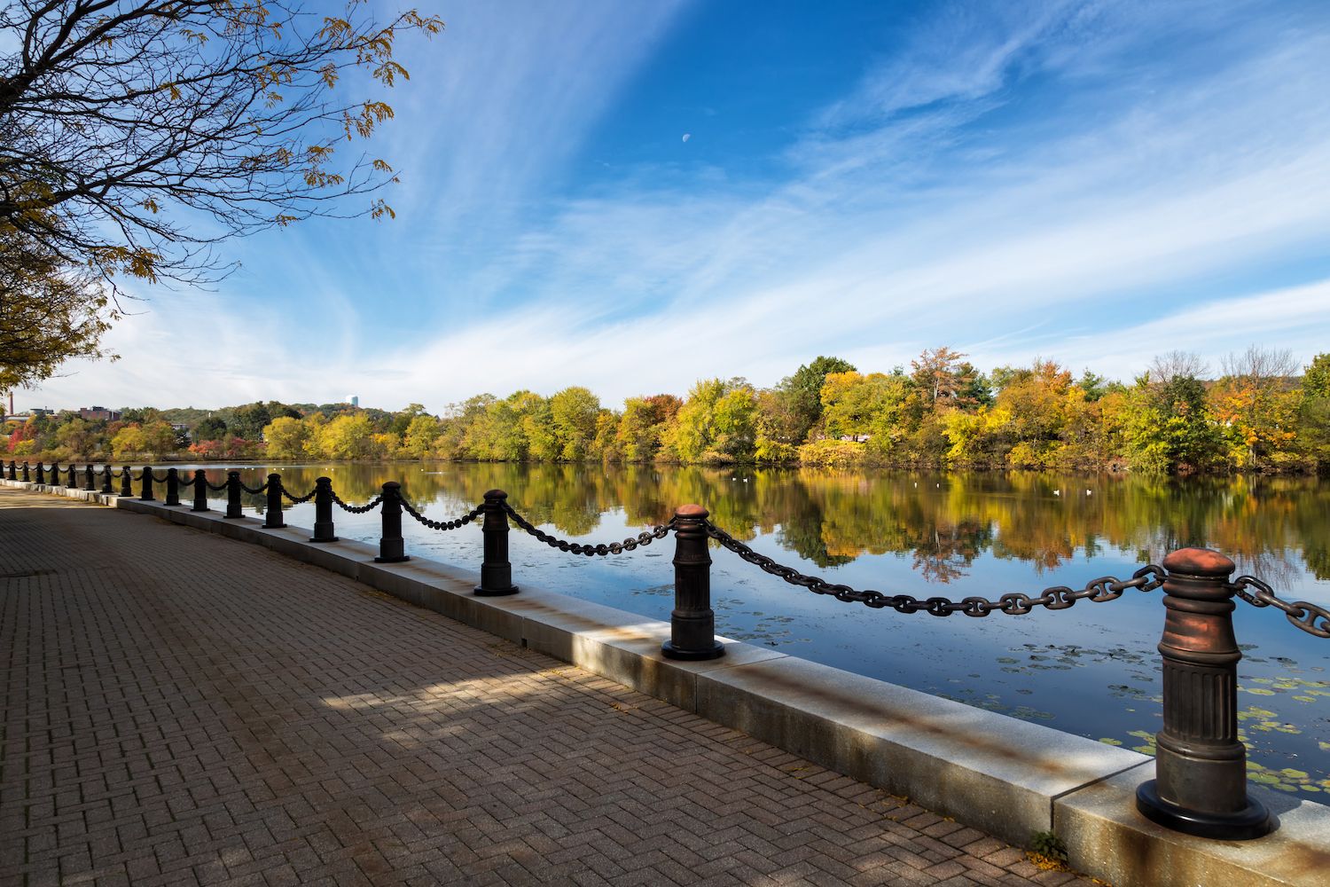 12-stunning-natural-wonders-in-waltham-massachusetts