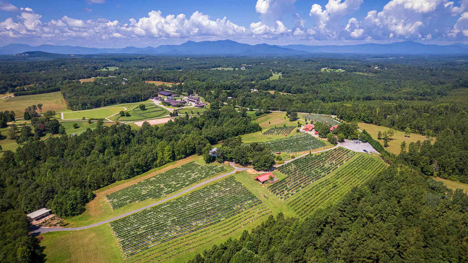 12-top-wine-tasting-destinations-in-greenville-south-carolina