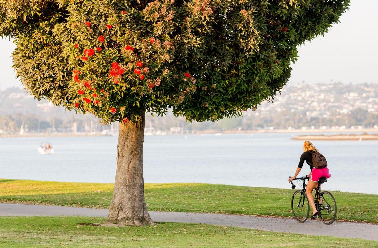 5-best-cycling-routes-in-cathedral-city-california