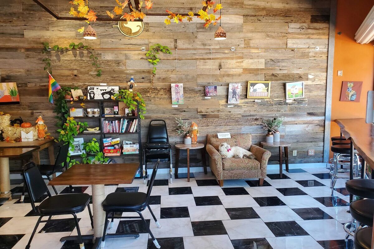5 Cozy Coffee Shops to Discover in Shakopee, Minnesota TouristSecrets