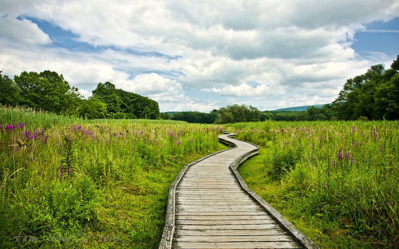 5-scenic-hikes-to-take-in-vineland-new-jersey