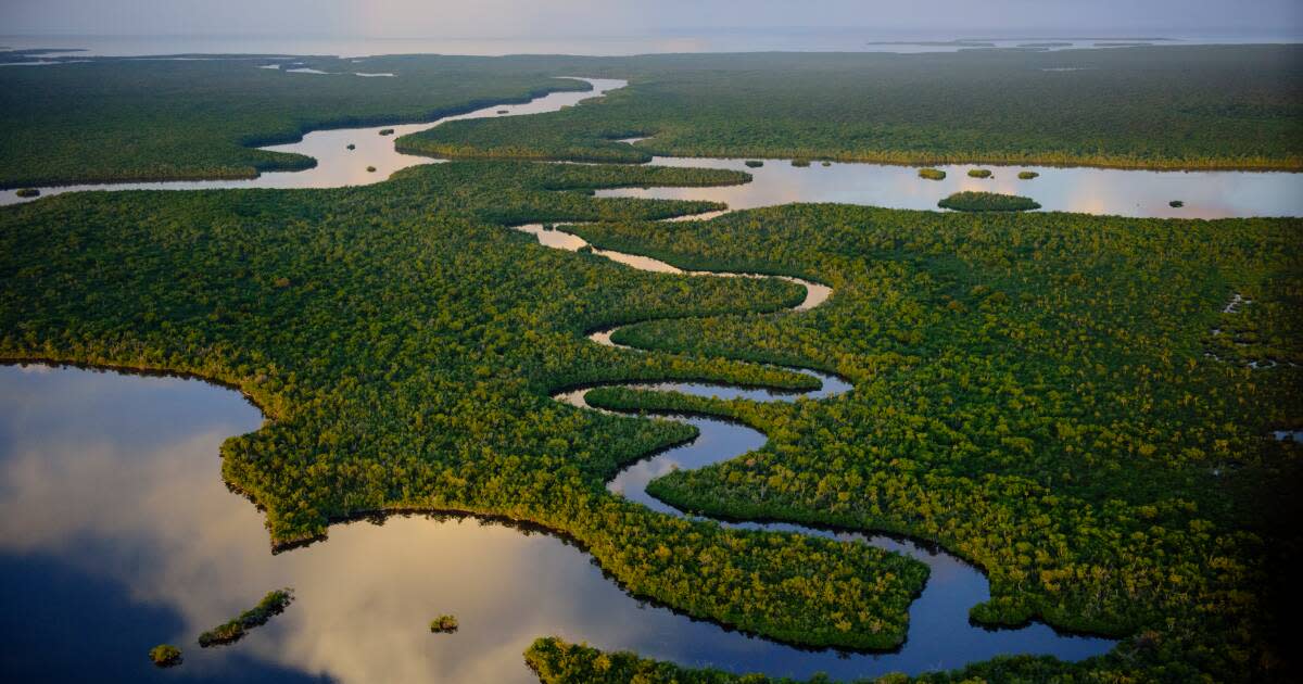 5-stunning-natural-wonders-in-ocoee-florida