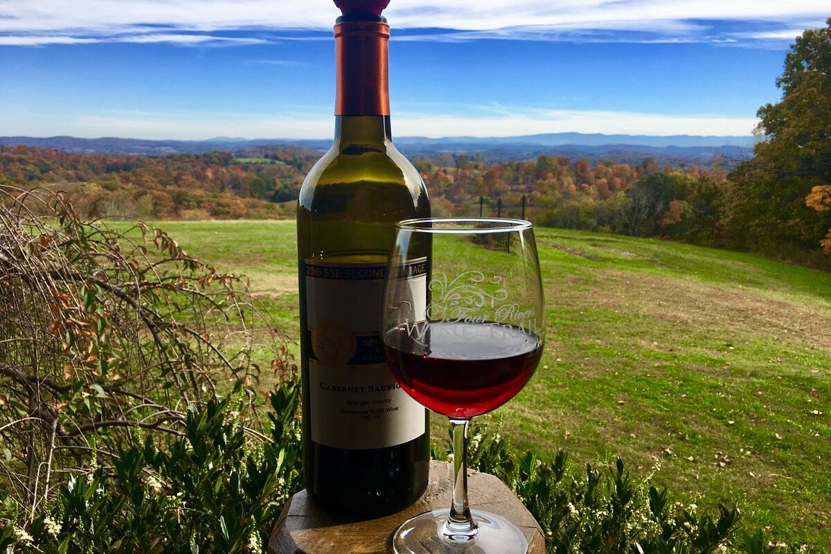 5-top-wine-tasting-destinations-in-bartlett-tennessee