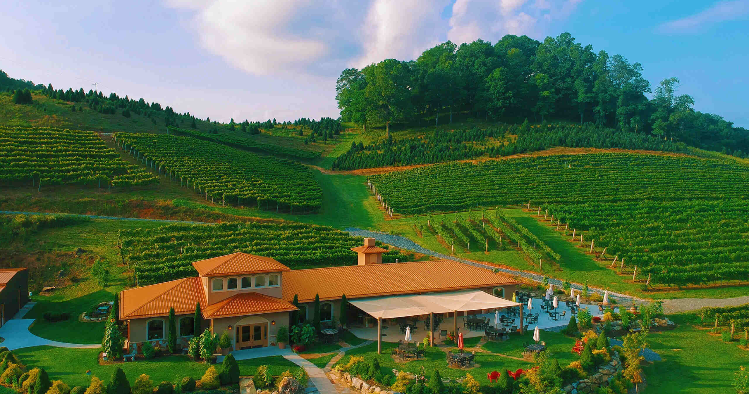 5-top-wine-tasting-destinations-in-cary-north-carolina