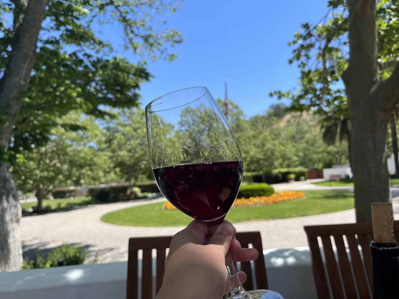5-Top-Wine-Tasting-Destinations-In-Newark-California 5-top-wine-tasting-destinations-in-newark-california