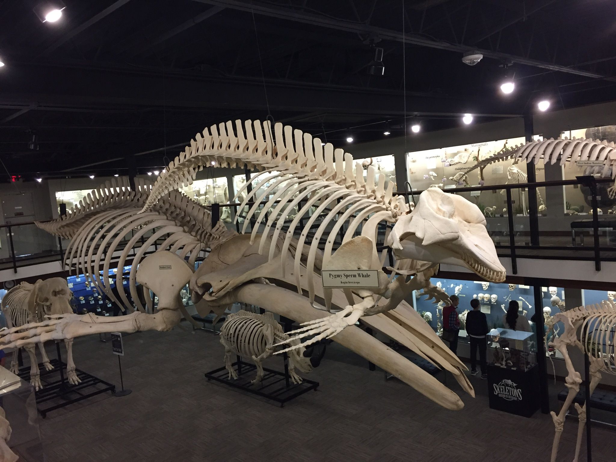 5-Unique-Museums-To-Explore-In-Midwest-City-Oklahoma 5-unique-museums-to-explore-in-midwest-city-oklahoma