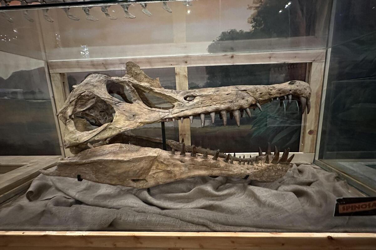 5-unique-museums-to-explore-in-ogden-utah