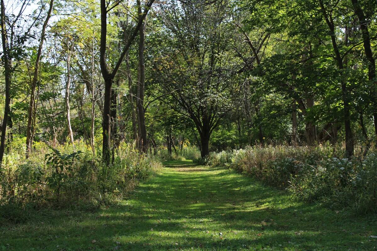 6-best-spots-for-photography-in-urbana-illinois