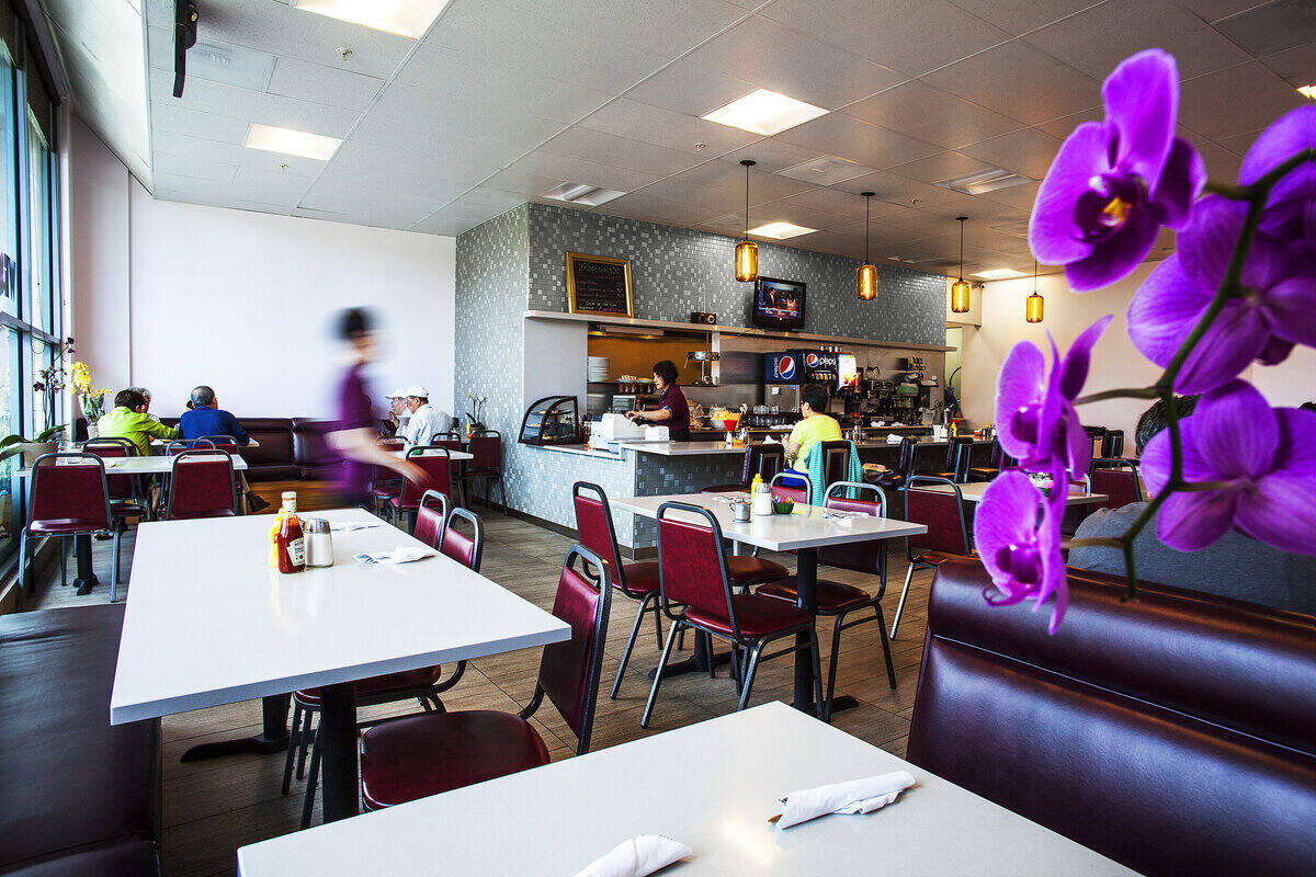 6-cozy-coffee-shops-to-discover-in-daly-city-california