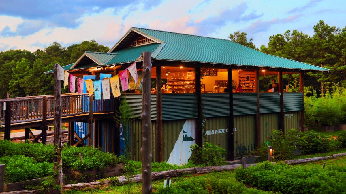 6-Hidden-Gems-To-Explore-In-Chapel-Hill-North-Carolina 6-hidden-gems-to-explore-in-chapel-hill-north-carolina