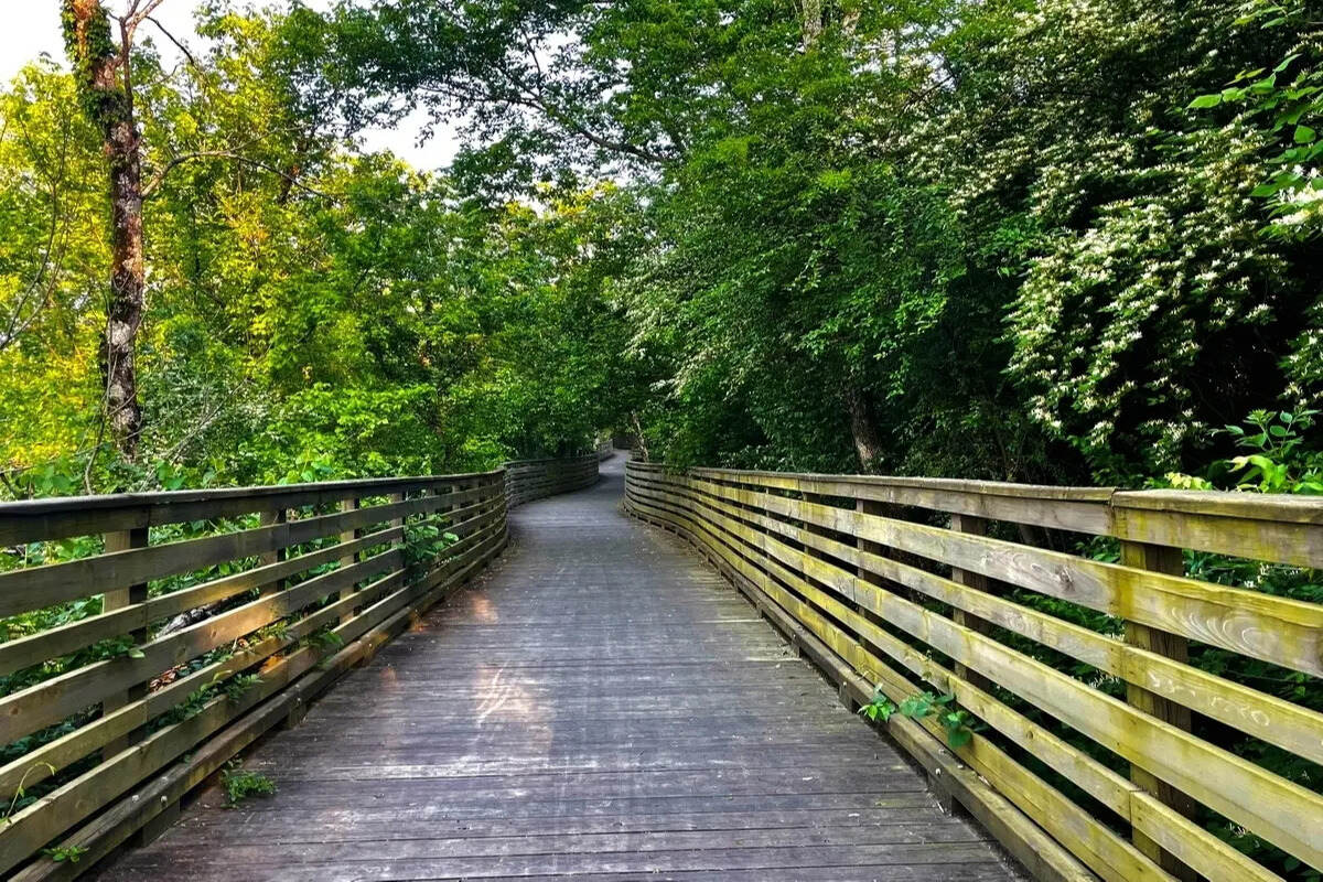 6-scenic-hikes-to-take-in-hoboken-new-jersey