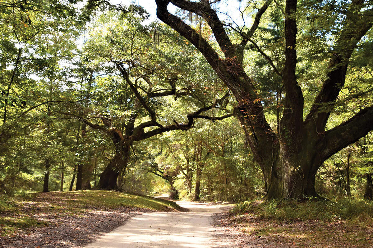 6-scenic-hikes-to-take-in-mobile-alabama
