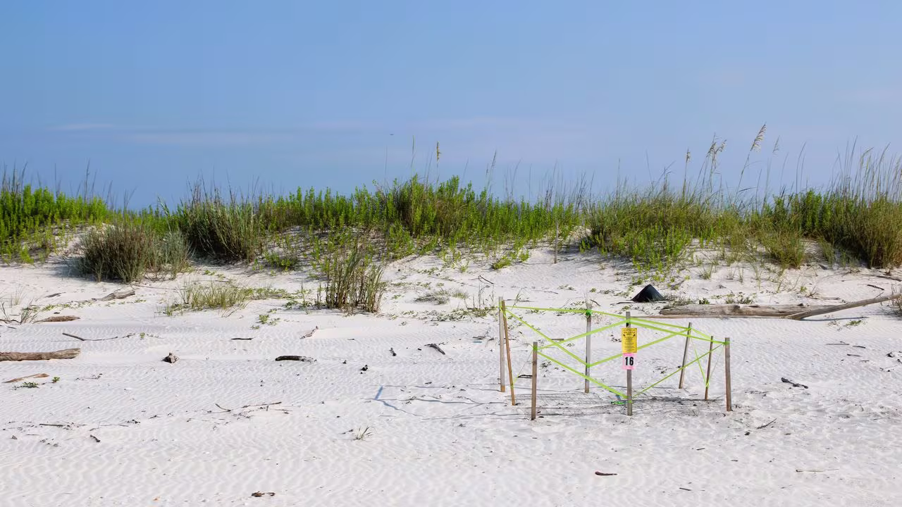 6-spectacular-beaches-to-visit-in-huntsville-alabama