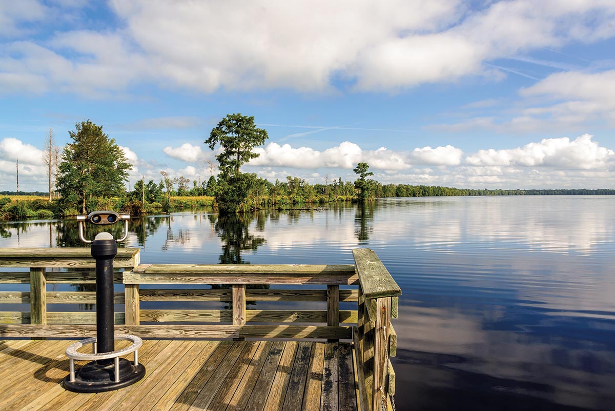6-Stunning-Natural-Wonders-In-Suffolk-Virginia 6-stunning-natural-wonders-in-suffolk-virginia