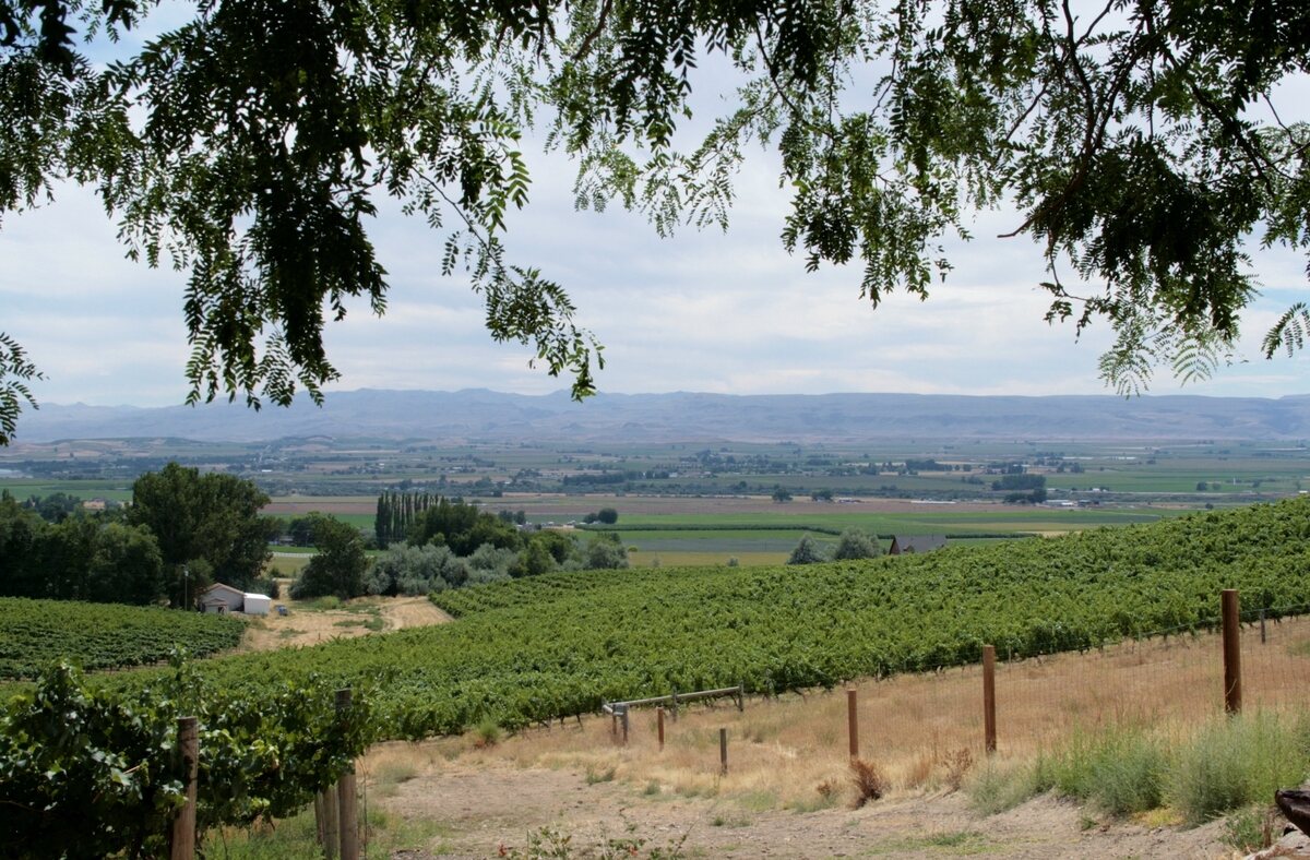 6-top-wine-tasting-destinations-in-caldwell-idaho