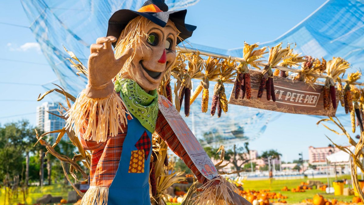 6-Vibrant-FestivalsEvents-To-Attend-In-St.-Petersburg-Florida 6-vibrant-festivals-events-to-attend-in-st-petersburg-florida