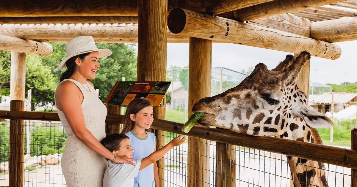 7-Family-Friendly-Activities-In-Abilene-Texas 7-family-friendly-activities-in-abilene-texas