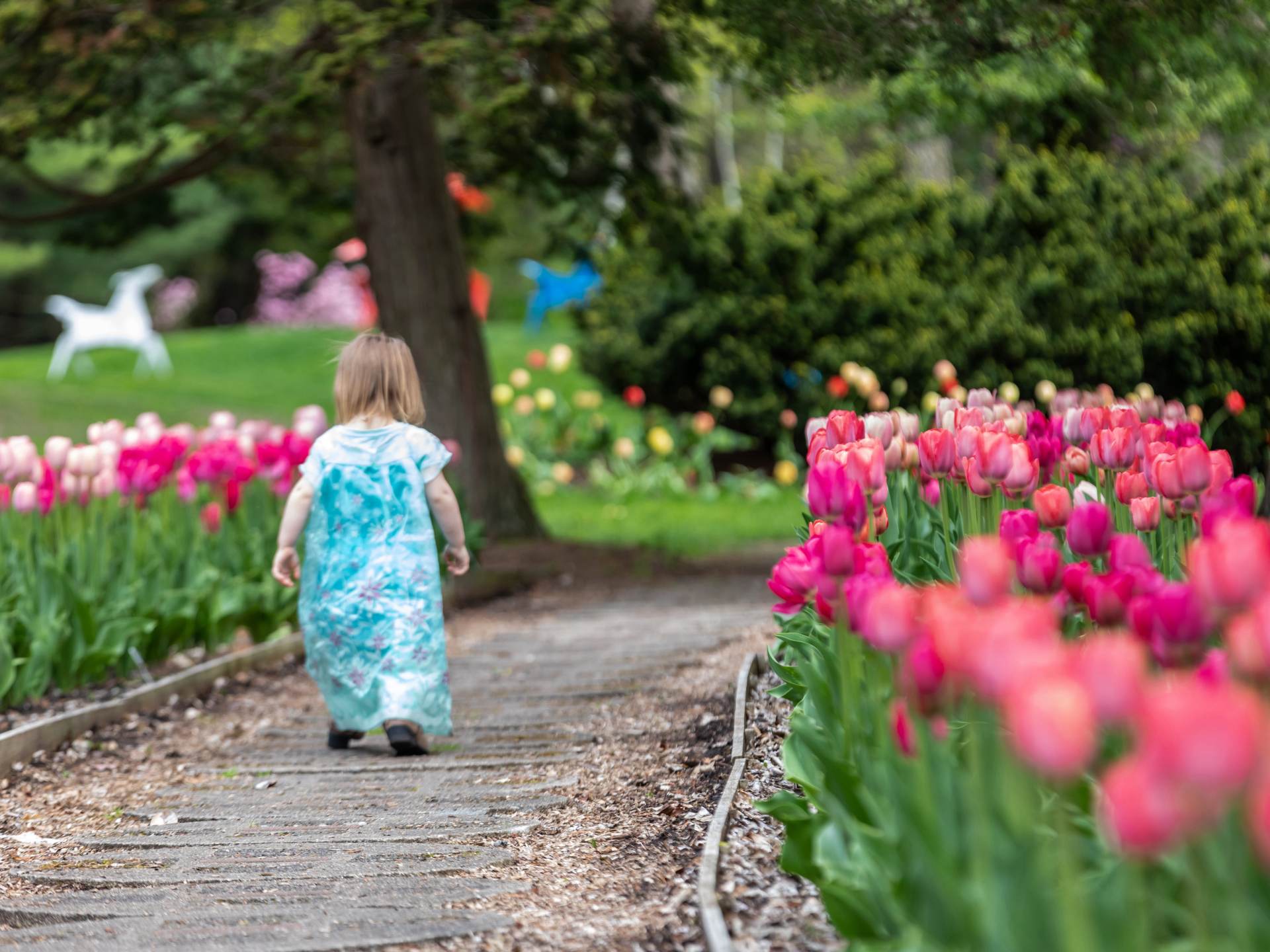 7-family-friendly-activities-in-midland-michigan