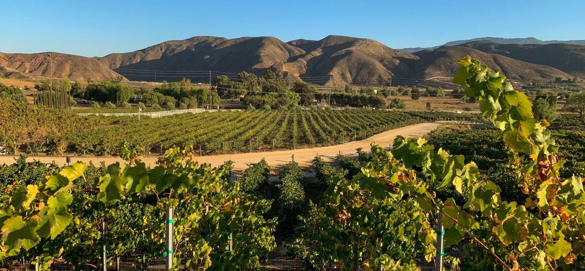 7-Top-Wine-Tasting-Destinations-In-El-Monte-California 7-top-wine-tasting-destinations-in-el-monte-california