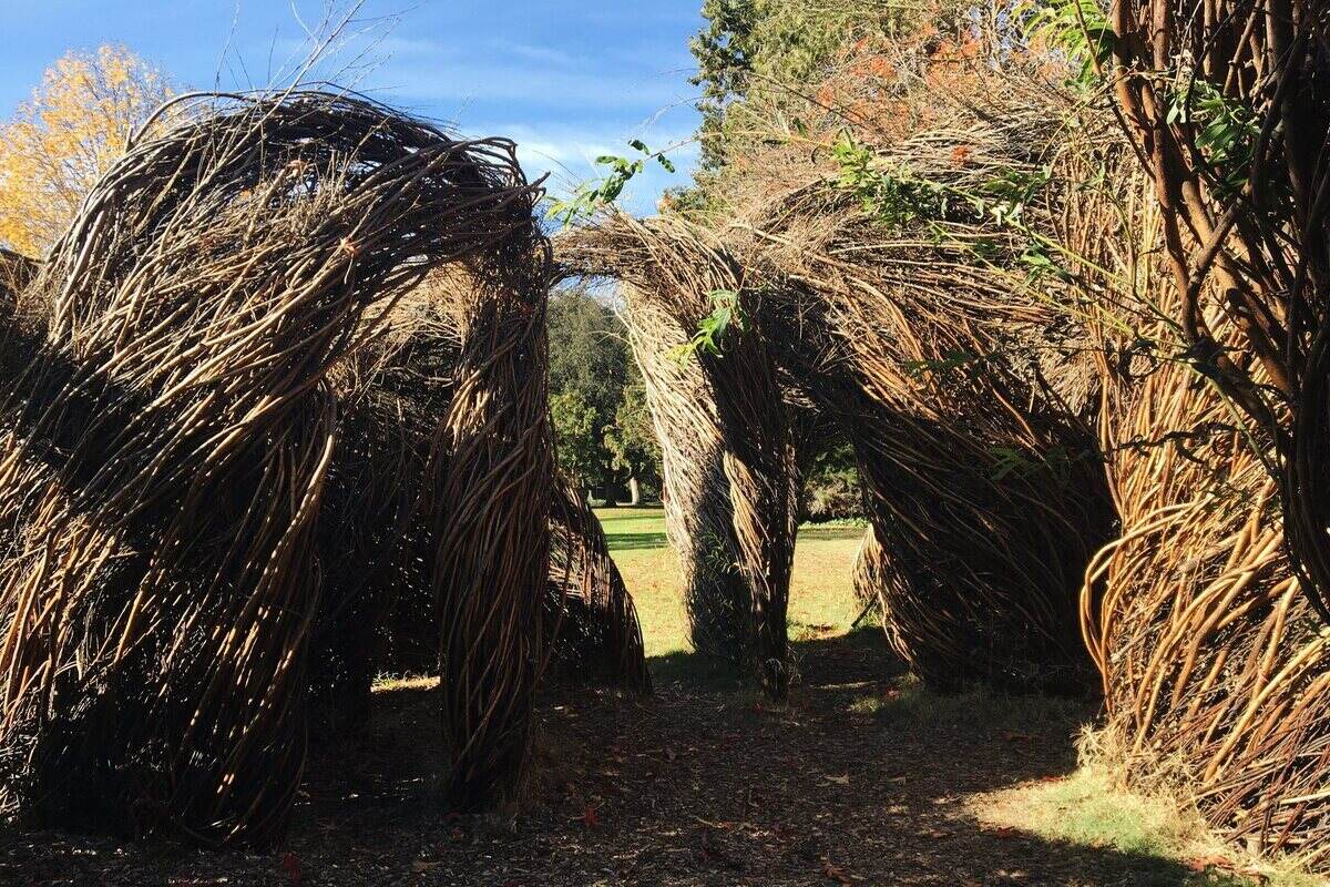 8-best-spots-for-photography-in-palo-alto-california