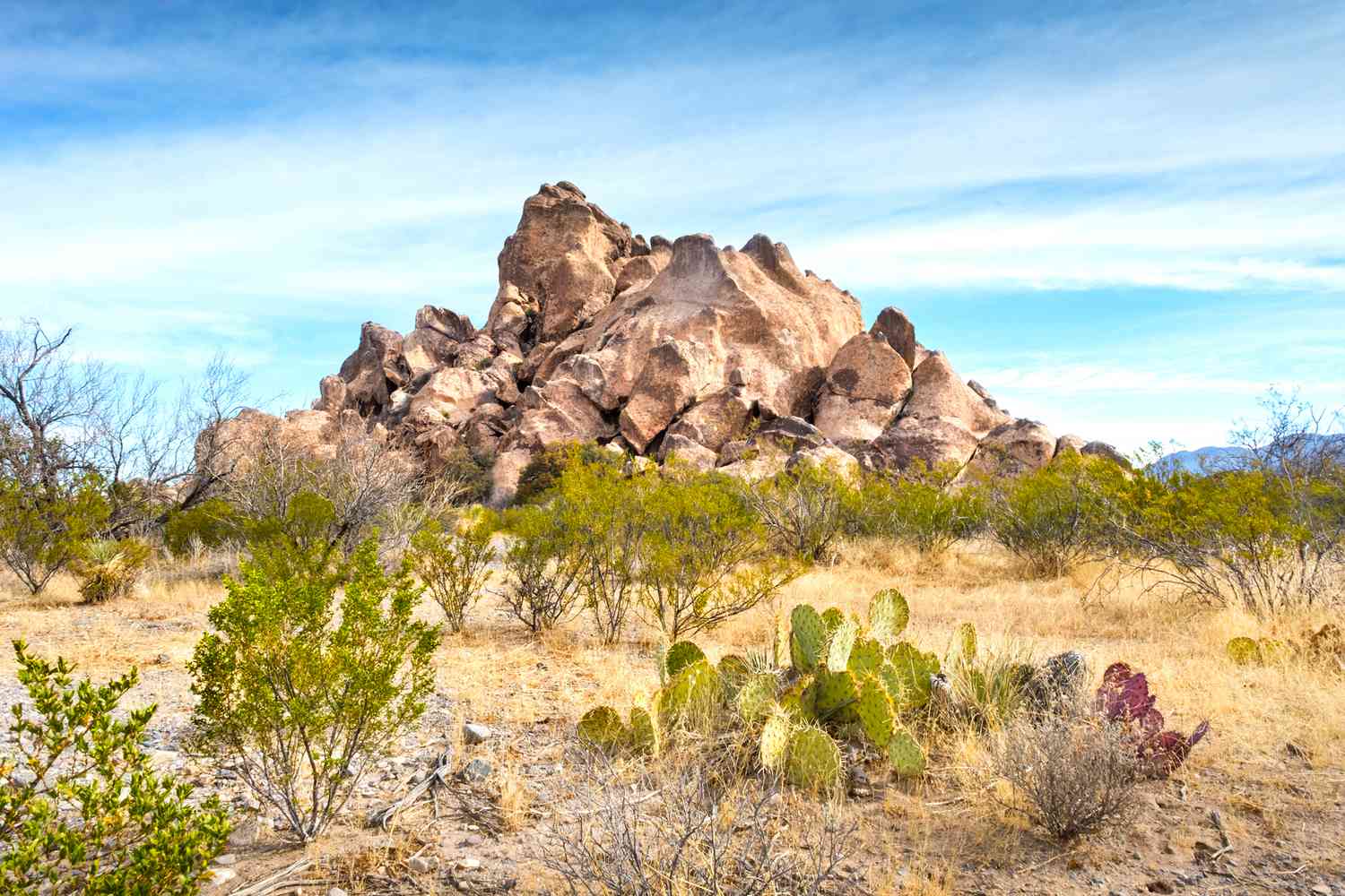 8-hidden-gems-to-explore-in-desoto-texas