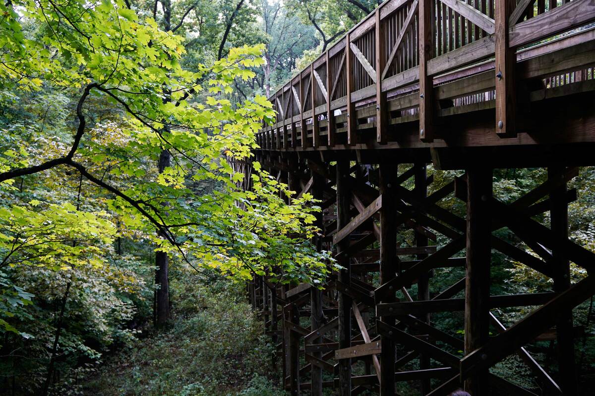 8-Scenic-Hikes-To-Take-In-Joliet-Illinois 8-scenic-hikes-to-take-in-joliet-illinois