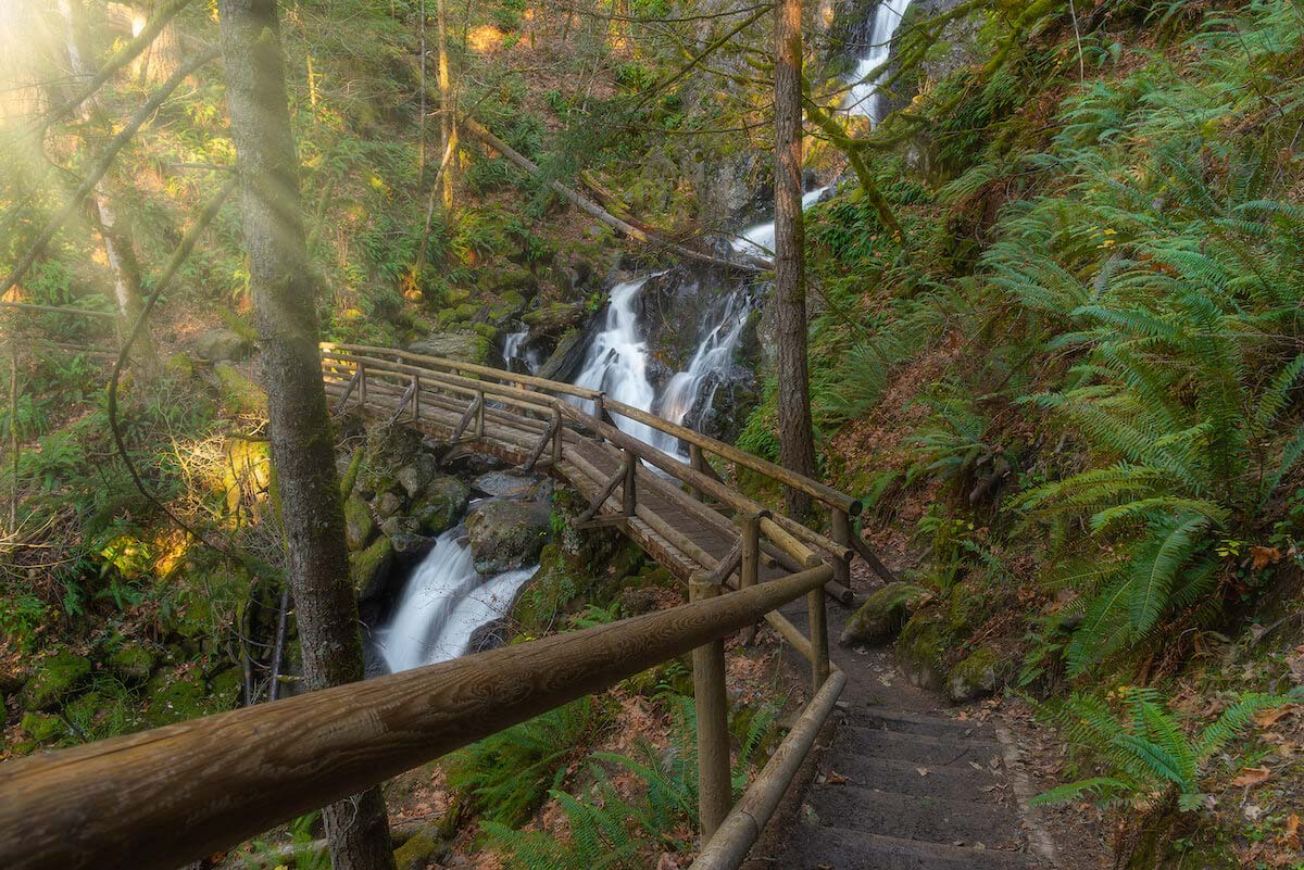 8-Scenic-Hikes-To-Take-In-Vancouver-Washington 8-scenic-hikes-to-take-in-vancouver-washington
