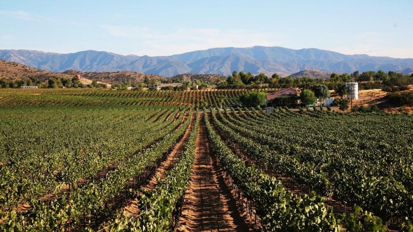 8-top-wine-tasting-destinations-in-pico-rivera-california