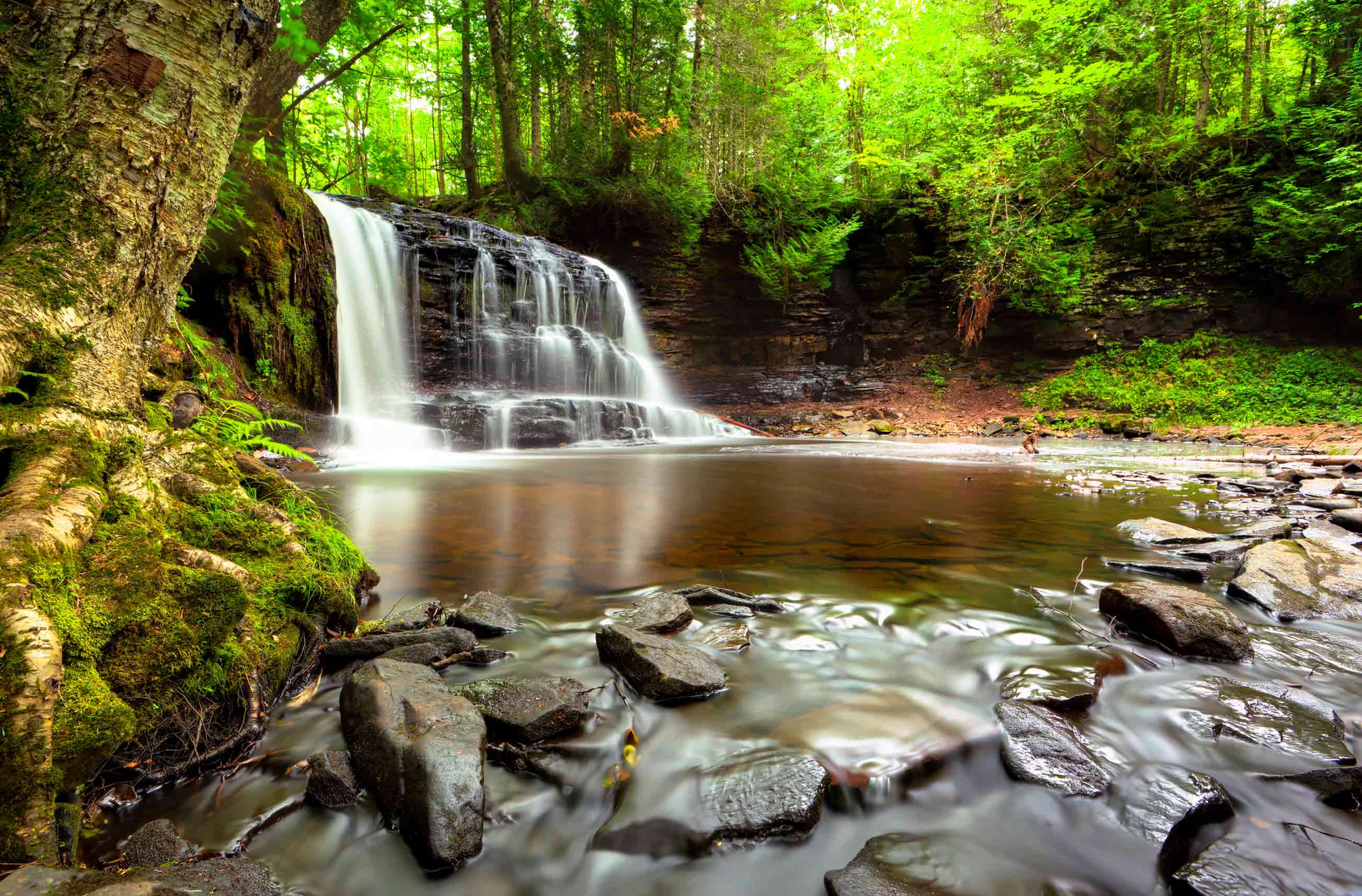 9-Best-Spots-For-Photography-In-Taylor-Michigan 9-best-spots-for-photography-in-taylor-michigan