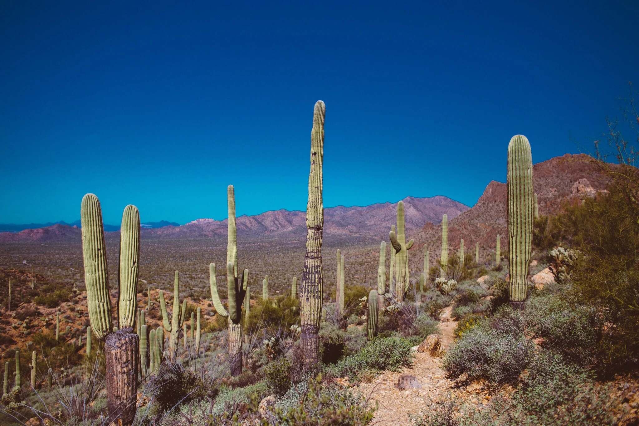 9-hidden-gems-to-explore-in-surprise-arizona