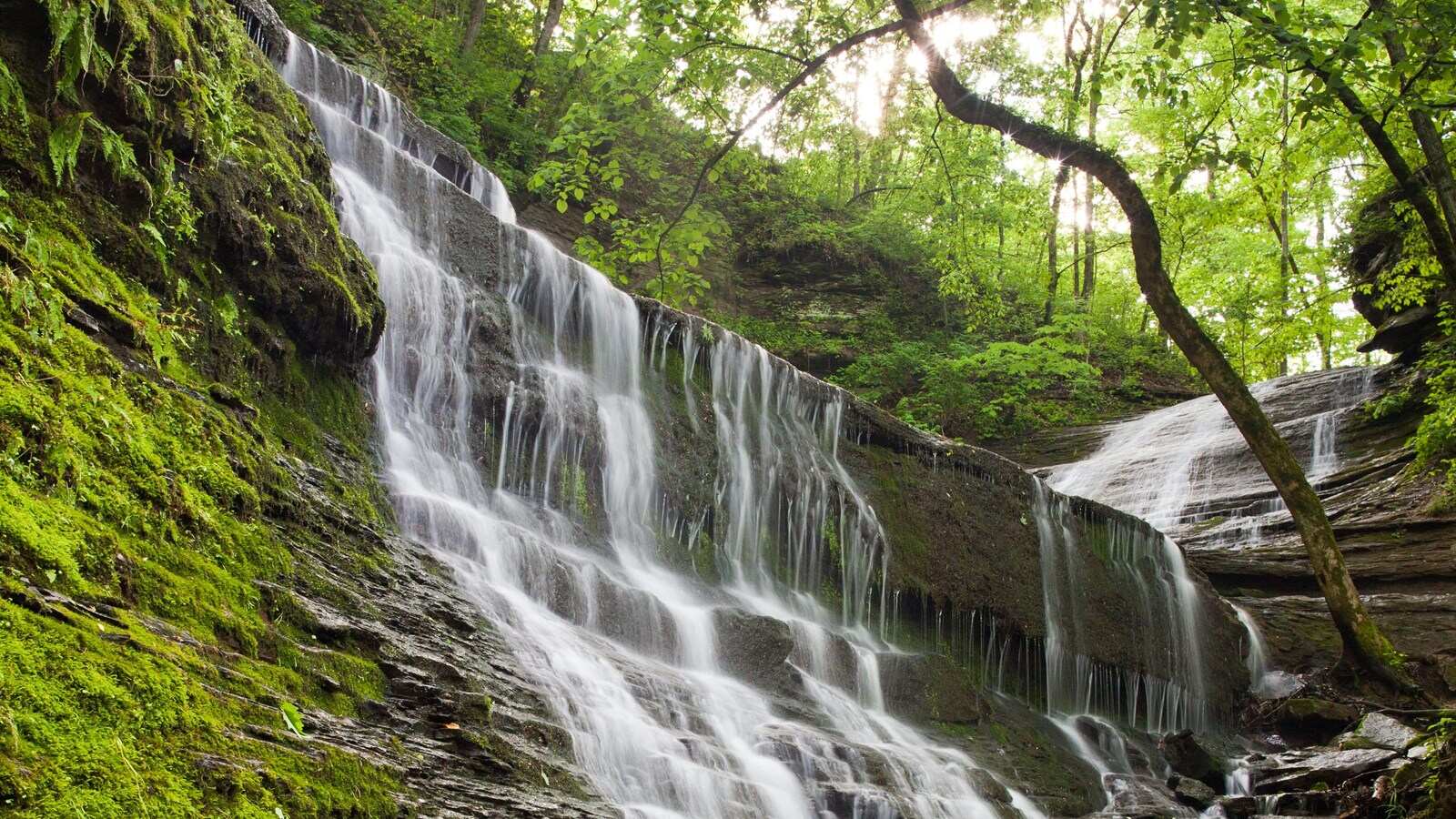 9-scenic-hikes-to-take-in-jackson-tennessee