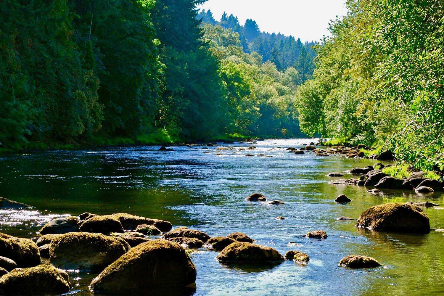 9-Stunning-Natural-Wonders-In-Beaverton-Oregon 9-stunning-natural-wonders-in-beaverton-oregon