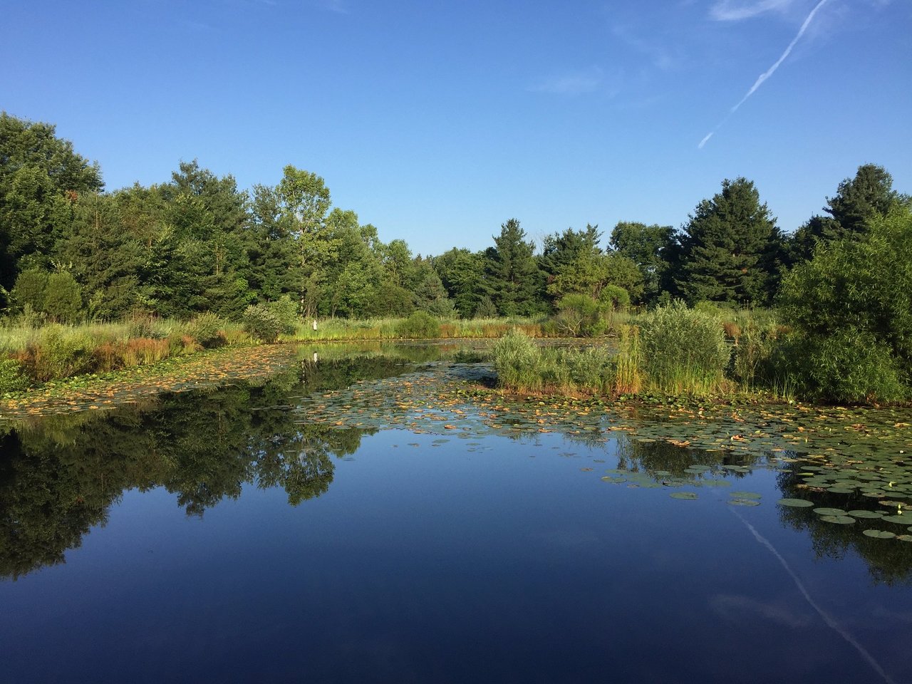 11-Family-Friendly-Activities-In-Mansfield-Ohio 11-family-friendly-activities-in-mansfield-ohio
