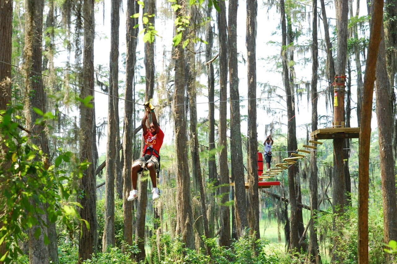 11-Family-Friendly-Activities-In-Tallahassee-Florida 11-family-friendly-activities-in-tallahassee-florida