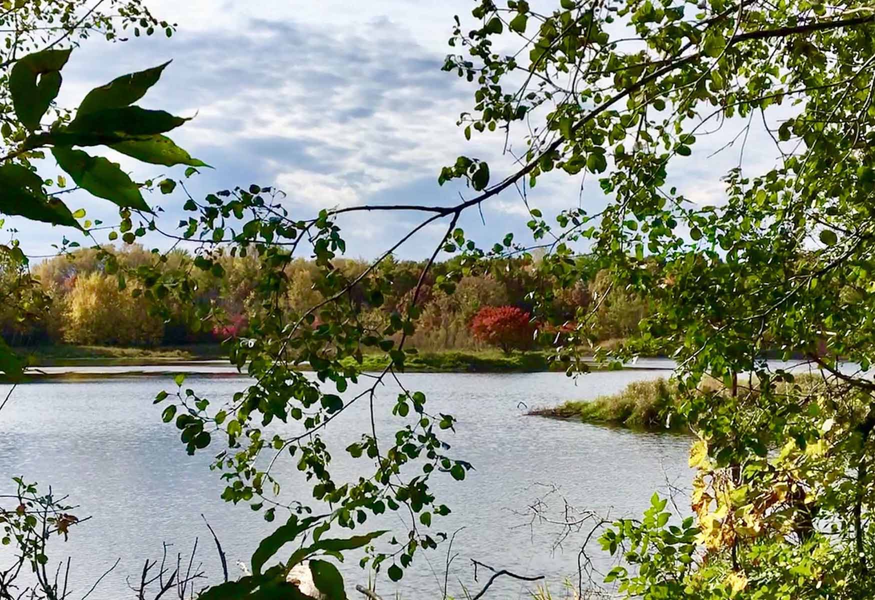 11-local-art-scenes-to-immerse-in-apple-valley-minnesota