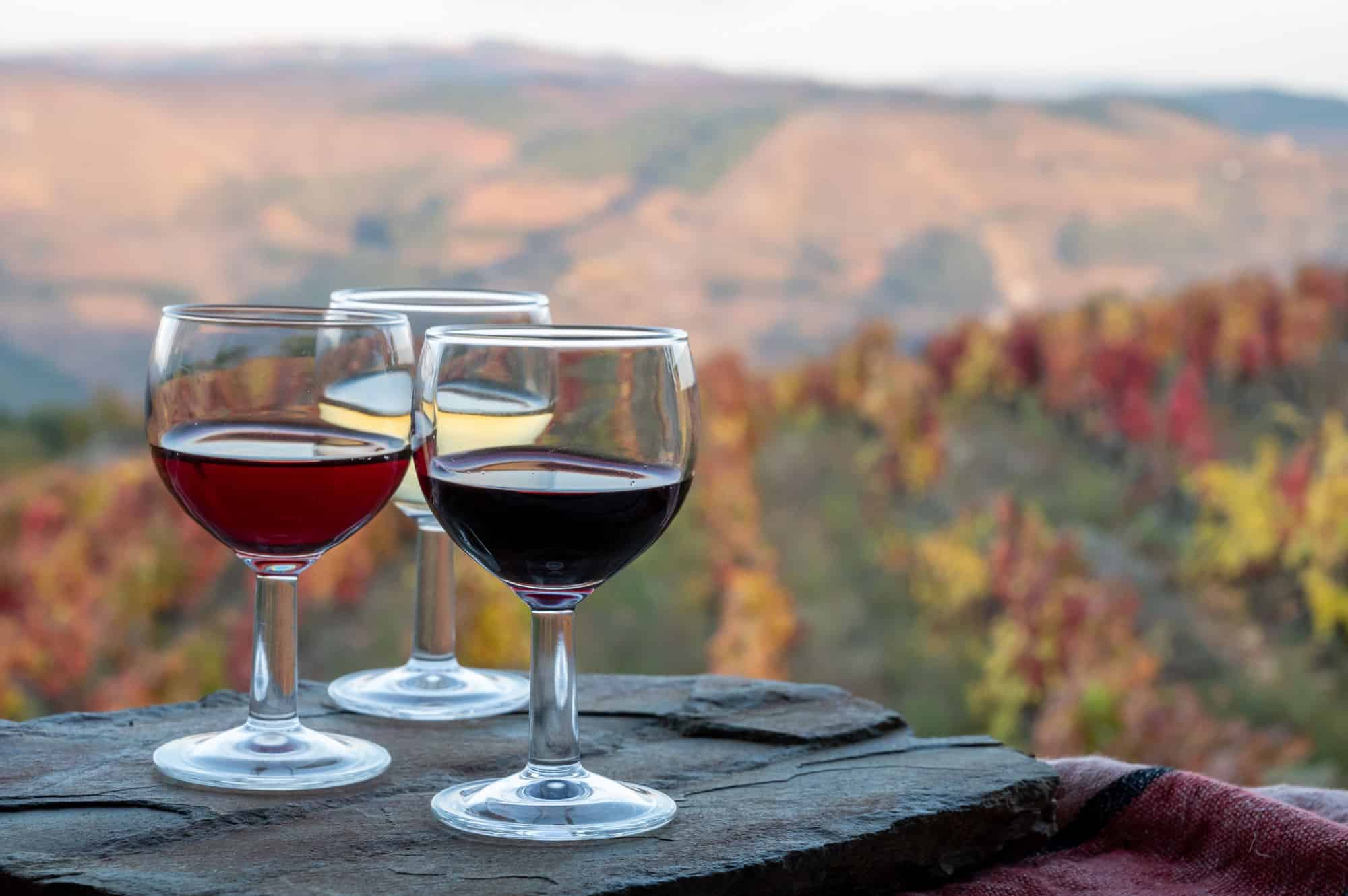 6-top-wine-tasting-destinations-in-prescott-arizona